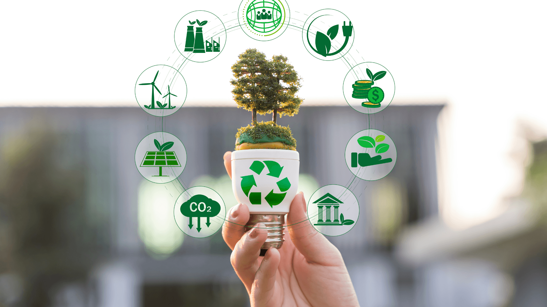 Business Sustainability: Beyond the Buzzwords