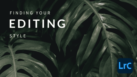 Adobe Lightroom: Finding Your Unique Editing Style