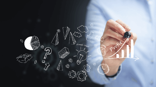 Planning for Profits