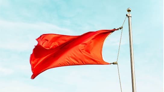 Assessing and Auditing Ethics and Fraud Red Flags