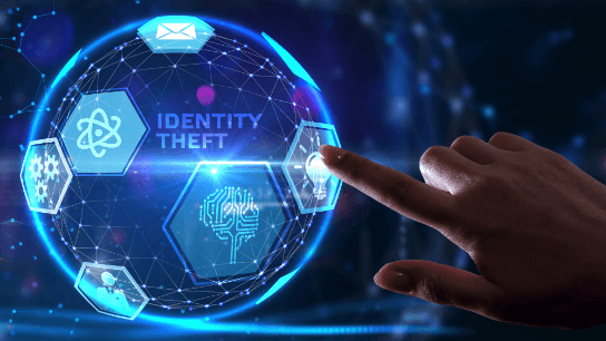 Personal Identity Theft