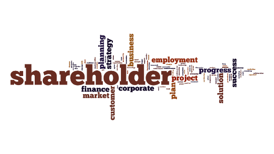 Shareholder Agreements