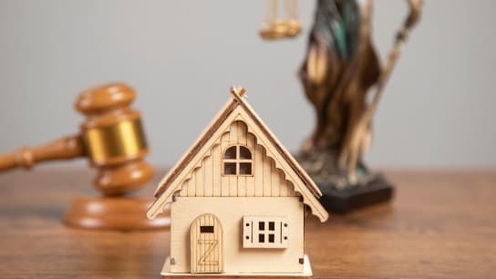 Real Estate Nutshell: Avoiding Practice Snares & Liability