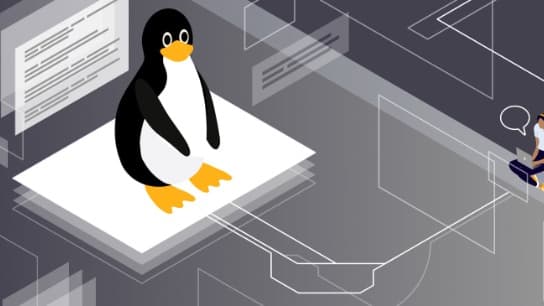 Linux Security and Hardening, The Practical Security Guide