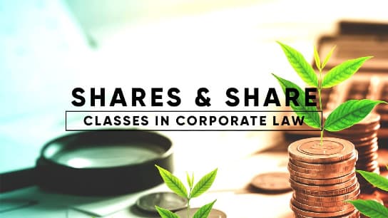 Shares and Share Classes in Corporate Law