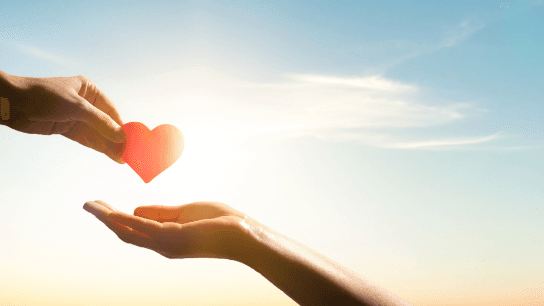 How to find grants for charities and NPOs in Canada
