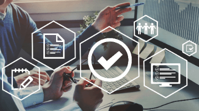 Global IIA Standards Domain IV, Principle 10, 11, 12