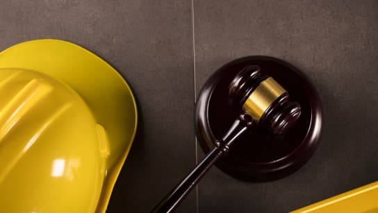 Construction Law Review: Adjudication & Prompt Payment